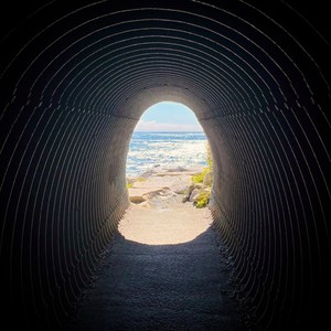 Whatever Life Brings (Explicit)