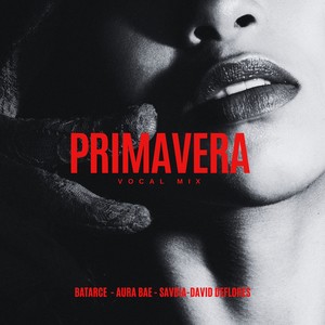 Primavera (Vocal Mix)
