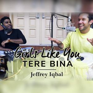 Girls Like You / Tere Bina (feat. Purnash) (Mashup)