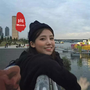 猛虎总独行 (DJ版)