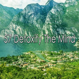 57 Detoxify the Mind