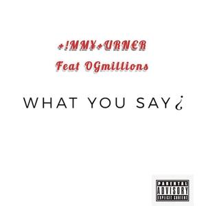 What You Say (feat. Ogmillions) (Explicit)