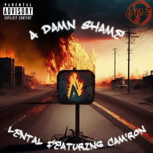 A Damn Shame (Explicit)