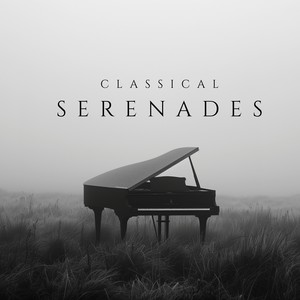 Classical Serenades - Serenade in D major, K.250/248b: I. Allegro maestoso - Allegro molto