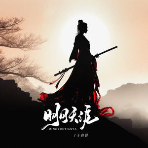 明月天涯 (DJ阿布版) - 于春洋封面