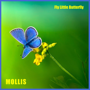 Fly Little Butterfly