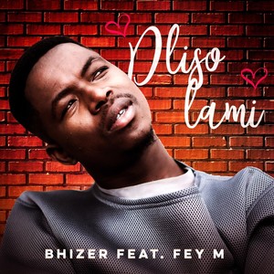 Dliso Lami(feat. Fey M)