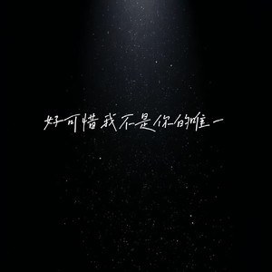 好可惜我不是你唯一