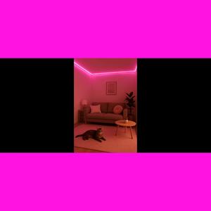 jmt fl freestyle (Explicit)