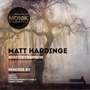 What They Wanna Be (Robert Roman Remix)