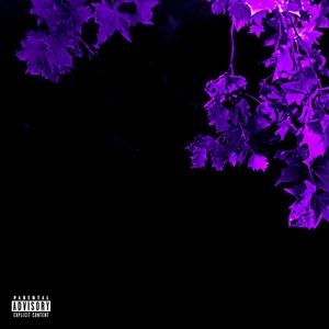 GLEAMING. (feat. 2IC & DBLE_T) (Explicit)