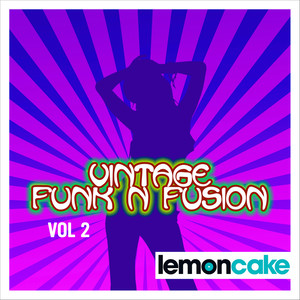 Vintage Funk 'N' Fusion, Vol. 2