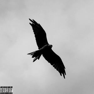 Lil Timmy (Explicit)