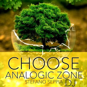 CHOOSE ANALOGIC ZONE