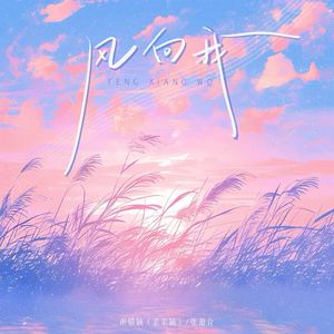 风向我