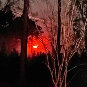 fuk u pay me (feat. Xcalartic) (Explicit)