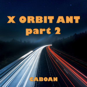 X Orbit Ant (Pt. 2)