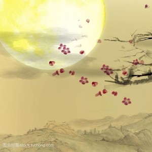 月亮 远方 (Demo)