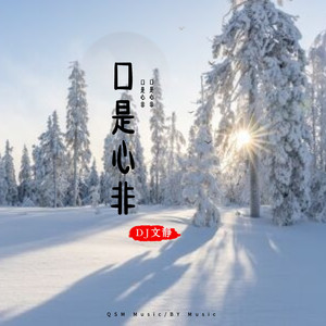 口是心非 (DJ弹鼓版)