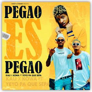 Pegao Es Pegao(feat. Kali & Kowa & Yeyo Pa Que Sepa)
