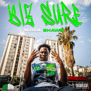 BIZ SURE (Explicit)