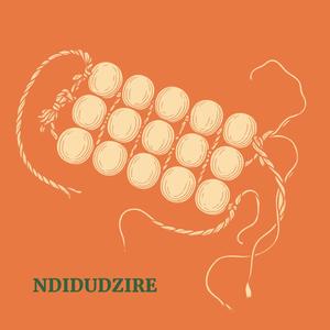 Ndidudzire (feat. NhakaBox)