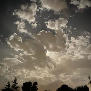 Rock'n'roll on the Dance Floor (Explicit)