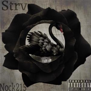 Black Swan (feat. Nock215) (Explicit)