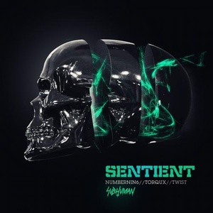 Sentient (Original Mix)