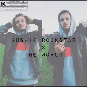 Bushie Rockstar 2 The World (Explicit)