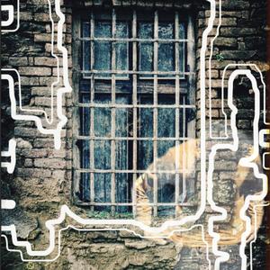 Evil Twin (Explicit)