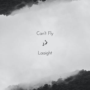 Can't Fly