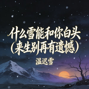 什么雪能和你白头 (想你一次就飘一片雪花)