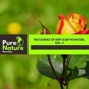 The Essence of Deep Sleep in Nature, Vol. 3