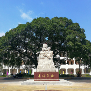 英红茶场我家乡 (音乐伴奏|伴奏)