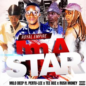 I'm a Star (feat. Tee ace, Pertu Lee & Rush money) (Explicit)