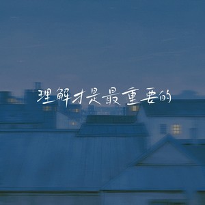 理解才是最重要的