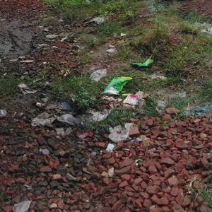 Broken heart(feat. Saidur Rahman)