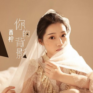 你的背影