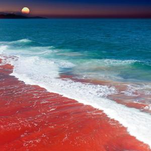 Catch My Wave (Explicit)