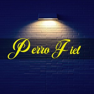 Perro Fiel (Cover)