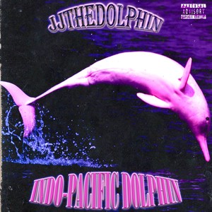 Indo Pacific Dolphin (Explicit)