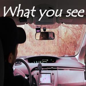 What you see (Explicit)