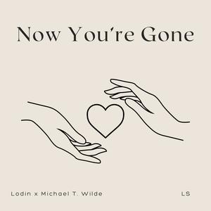 Now You're Gone (feat. Michael T. Wilde)