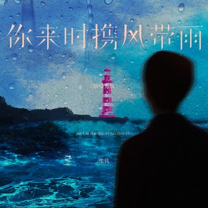 你来时携风带雨 (烟嗓男版)