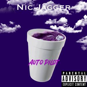 Autopilot (Explicit)