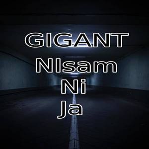 Nisam Ni Ja (Explicit)