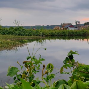 Những Khoảnh Khắc Lướt Qua