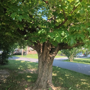 THE STORY OF LIFE (feat. Ashley Dean)