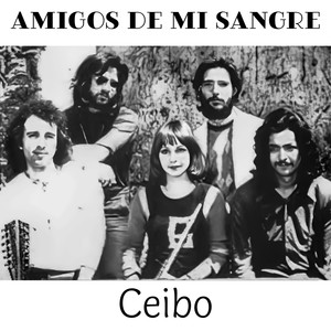 Mira Bien